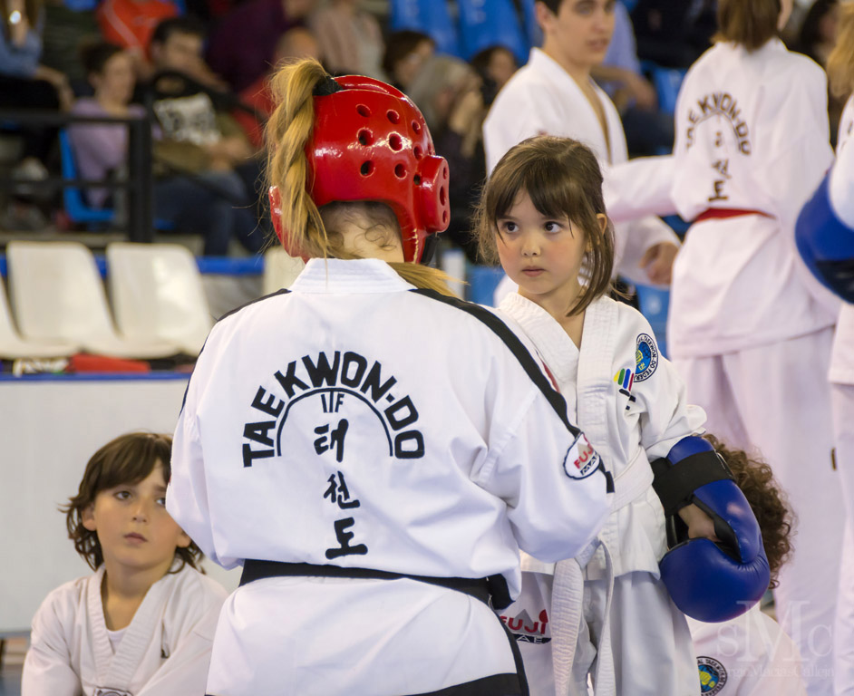 DIA DEL TAEKWONDO ABRIL 2017_3864.JPG